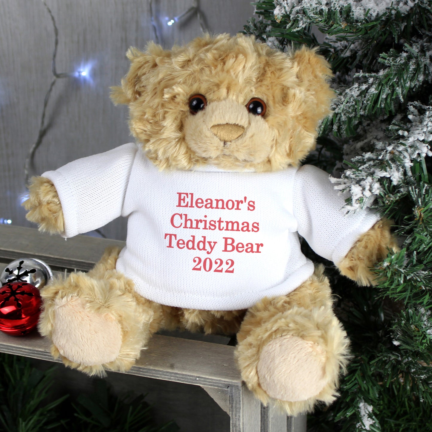 Christmas Message Teddy Bear