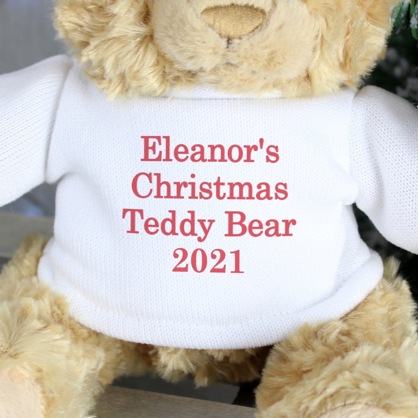 Christmas Message Teddy Bear