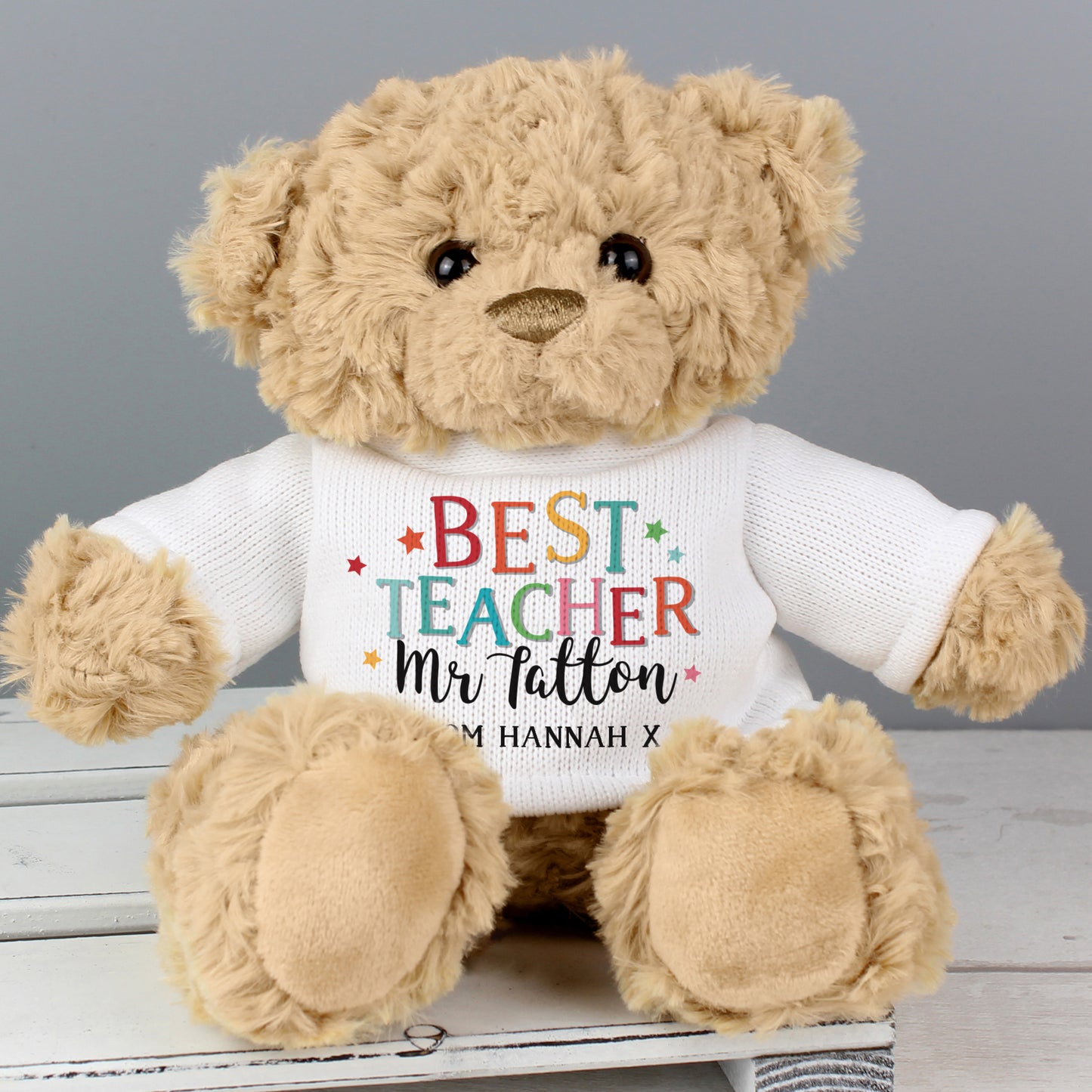 Best Teacher Teddy Bear