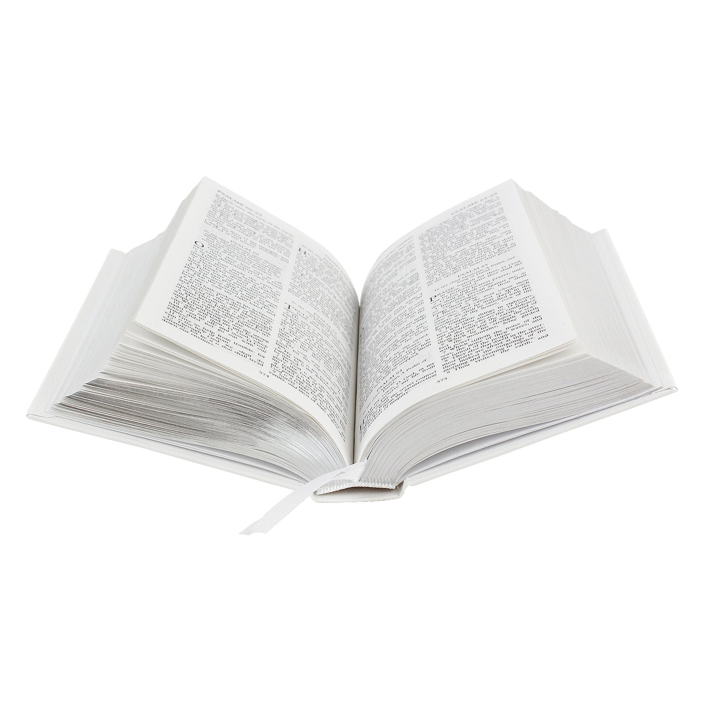 Sliver Cross Bible